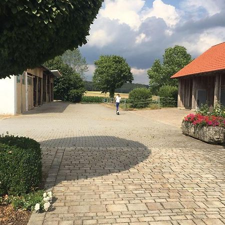 Ferienwohnung Baumgartner Ursensollen 外观 照片