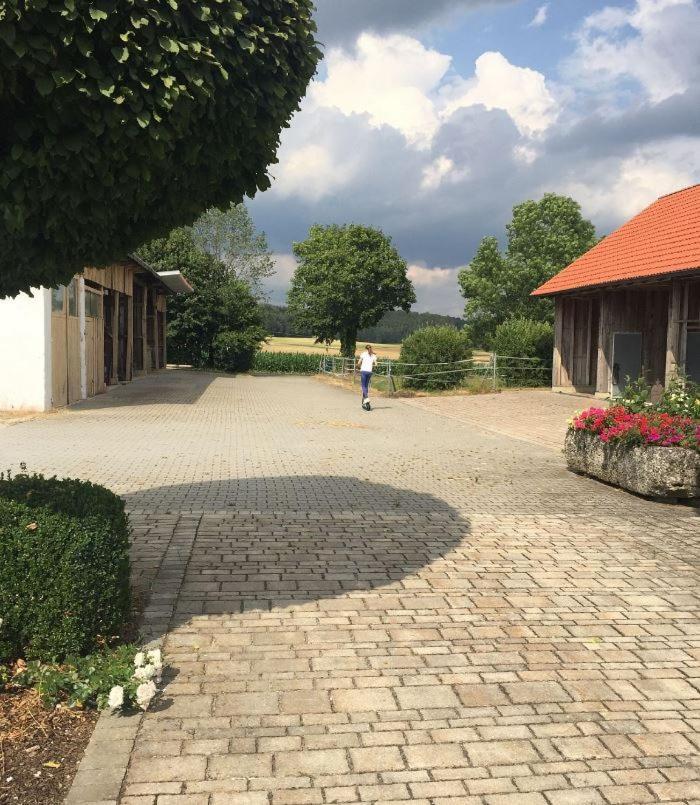 Ferienwohnung Baumgartner Ursensollen 外观 照片